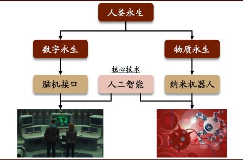 量子计算 未来30年的颠覆性力量，中金公司如何解读？